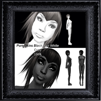 Second Life Marketplace Pure Skins Boxed